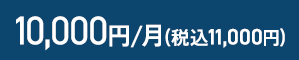 10,000円/月（税込11,000円）