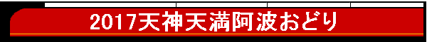 2017V_Vgǂ